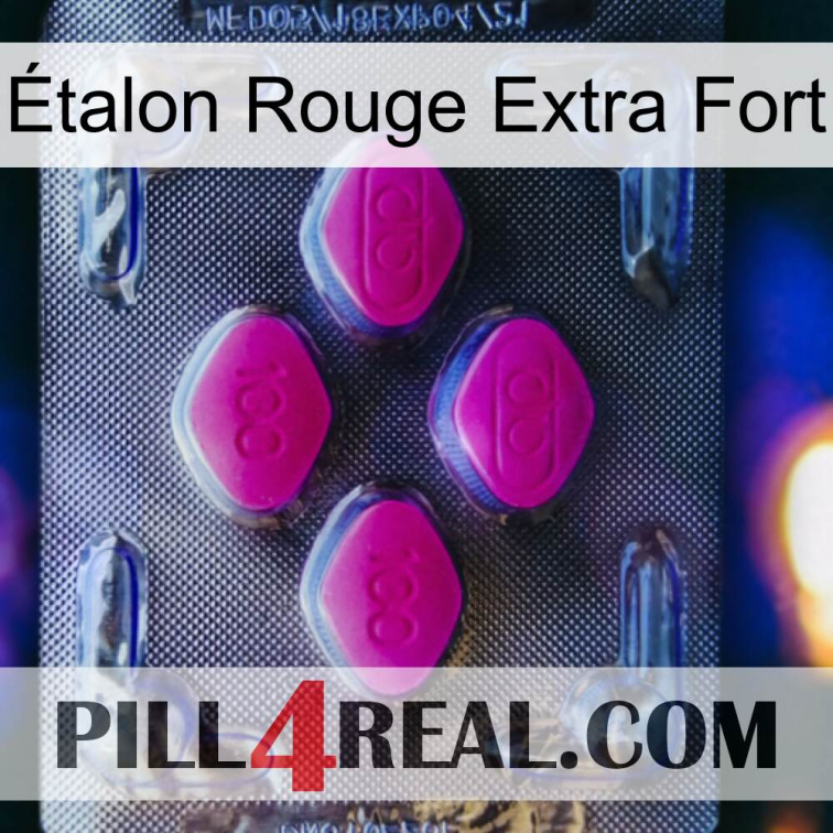 Étalon Rouge Extra Fort 02